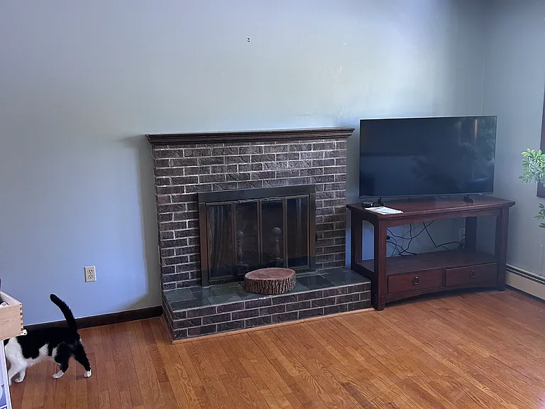 294 Hedgerow Dr — Photo 4