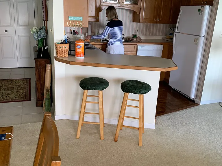 Fridge, dishwasher, oven, microwave