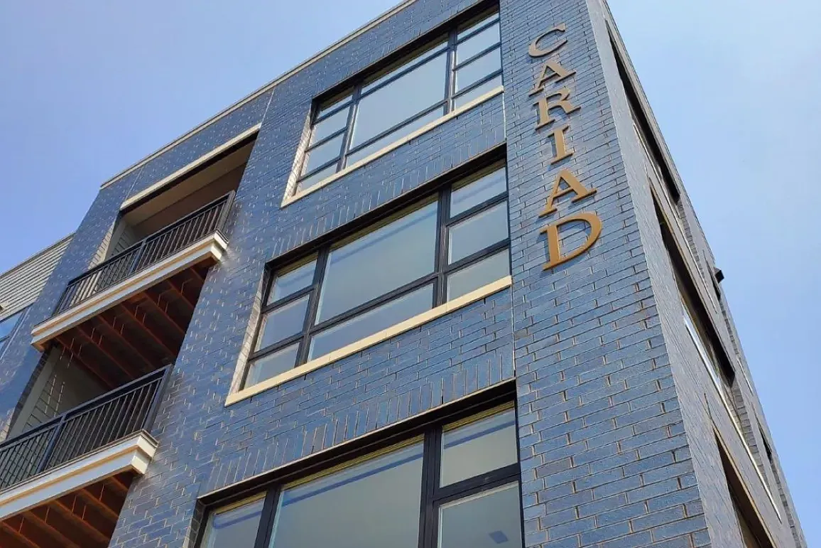 Cariad — Photo 2