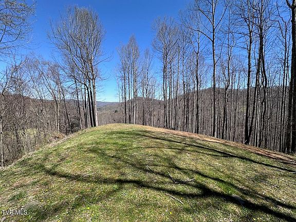 3rd image of Tbd Roan Springs Rd