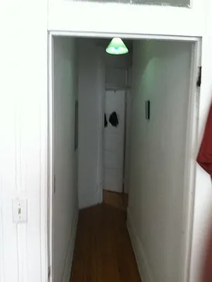 Rented by Rapid Realty Cobble Hill | media 59