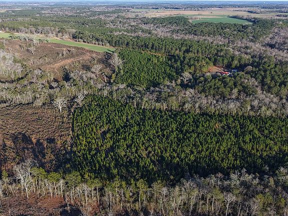 Dji 20260126160823 0023 D