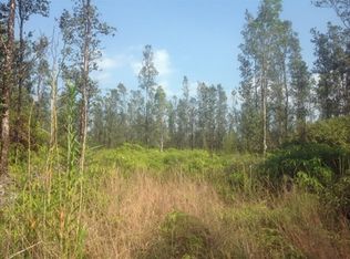 Road 6 Ooaa LOT 4310, Mountain View, HI 96771