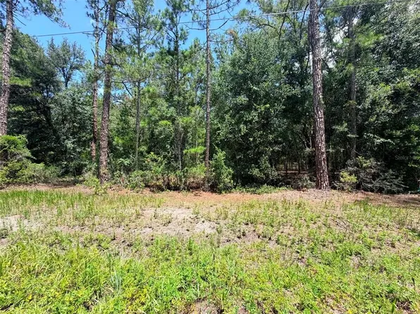 0 NE 132ND PL LOT 16, CITRA, FL 32113