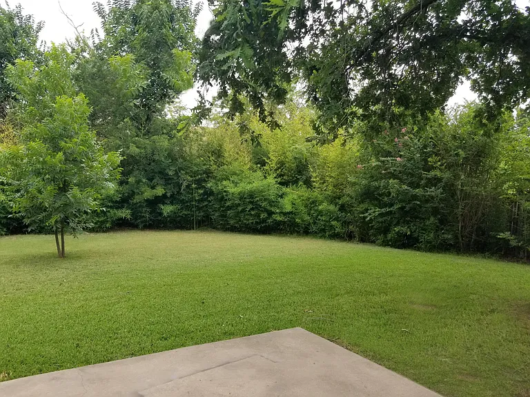 Patio and Hugh Back Yard