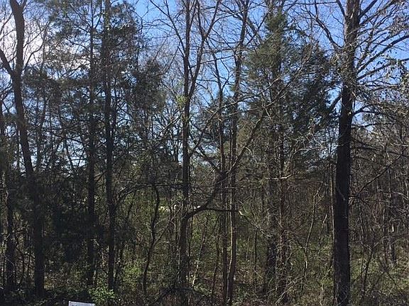 5th image of 227 Flat Rock Rd