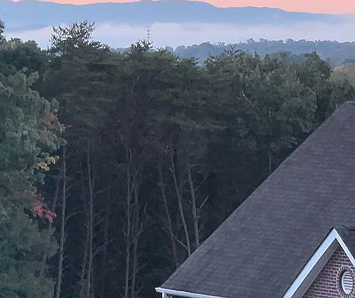4th image of 9900 Castleglen Ln