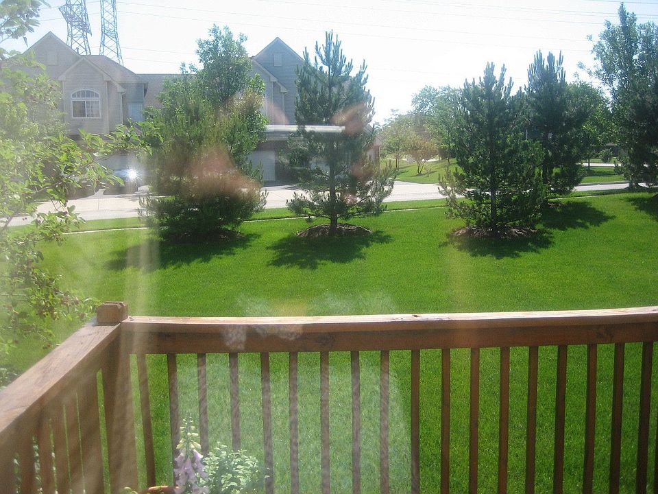 Patio View