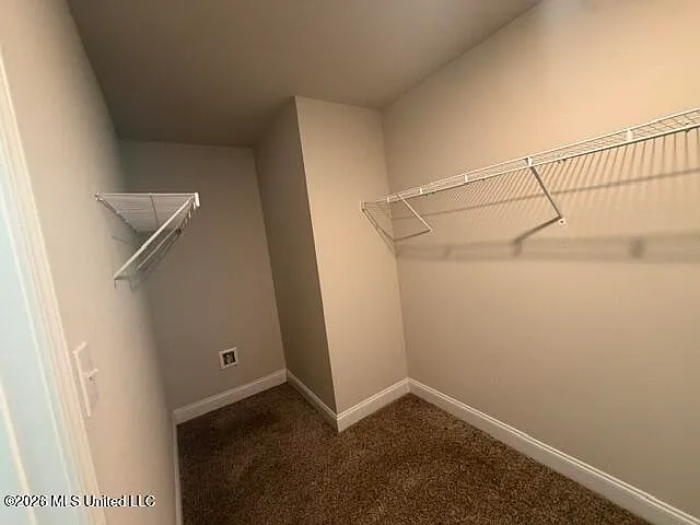 10520 Willow Leaf Dr — Photo 16