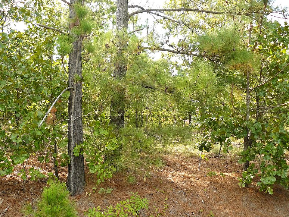 2nd image of Tbd Gambel Ct LOT 145