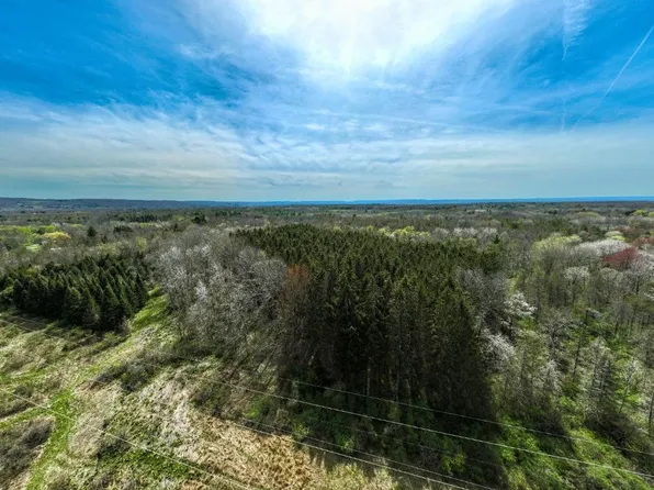 0 Neimi Rd Lot 2, Freeville, NY 13068