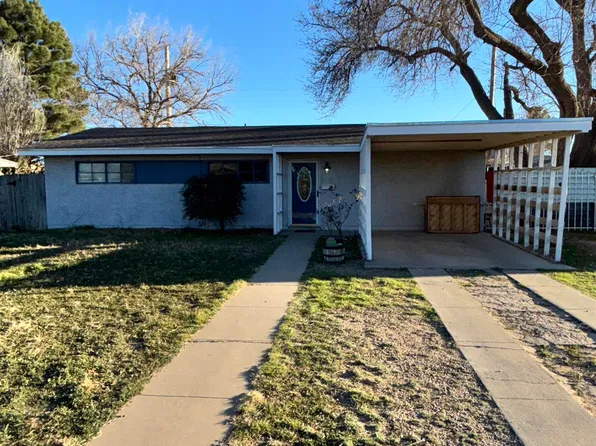 1016 N Plains Park Dr, Roswell, NM 88203