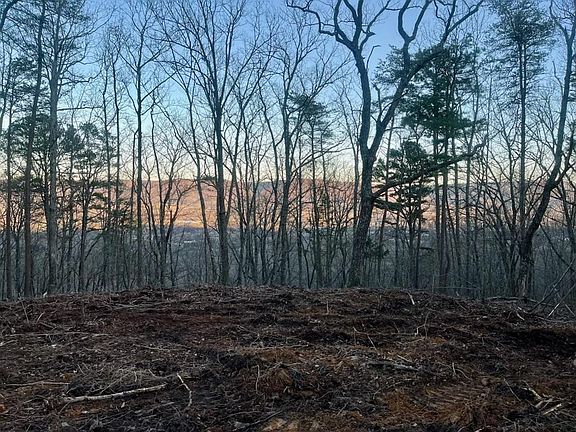 2nd image of 0 Old Spencer Rd