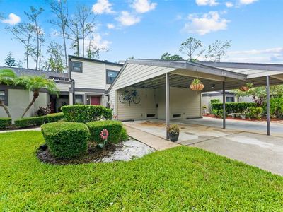 250 Woods Landing Trl, Oldsmar, FL, 34677
