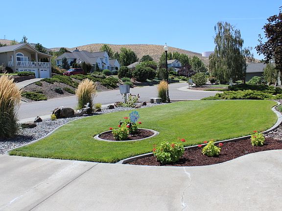 Front yard 