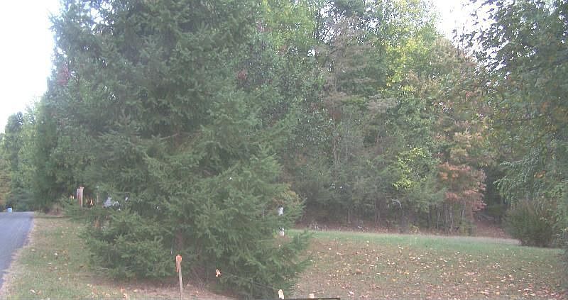 2nd image of 211 Swenfield Rd