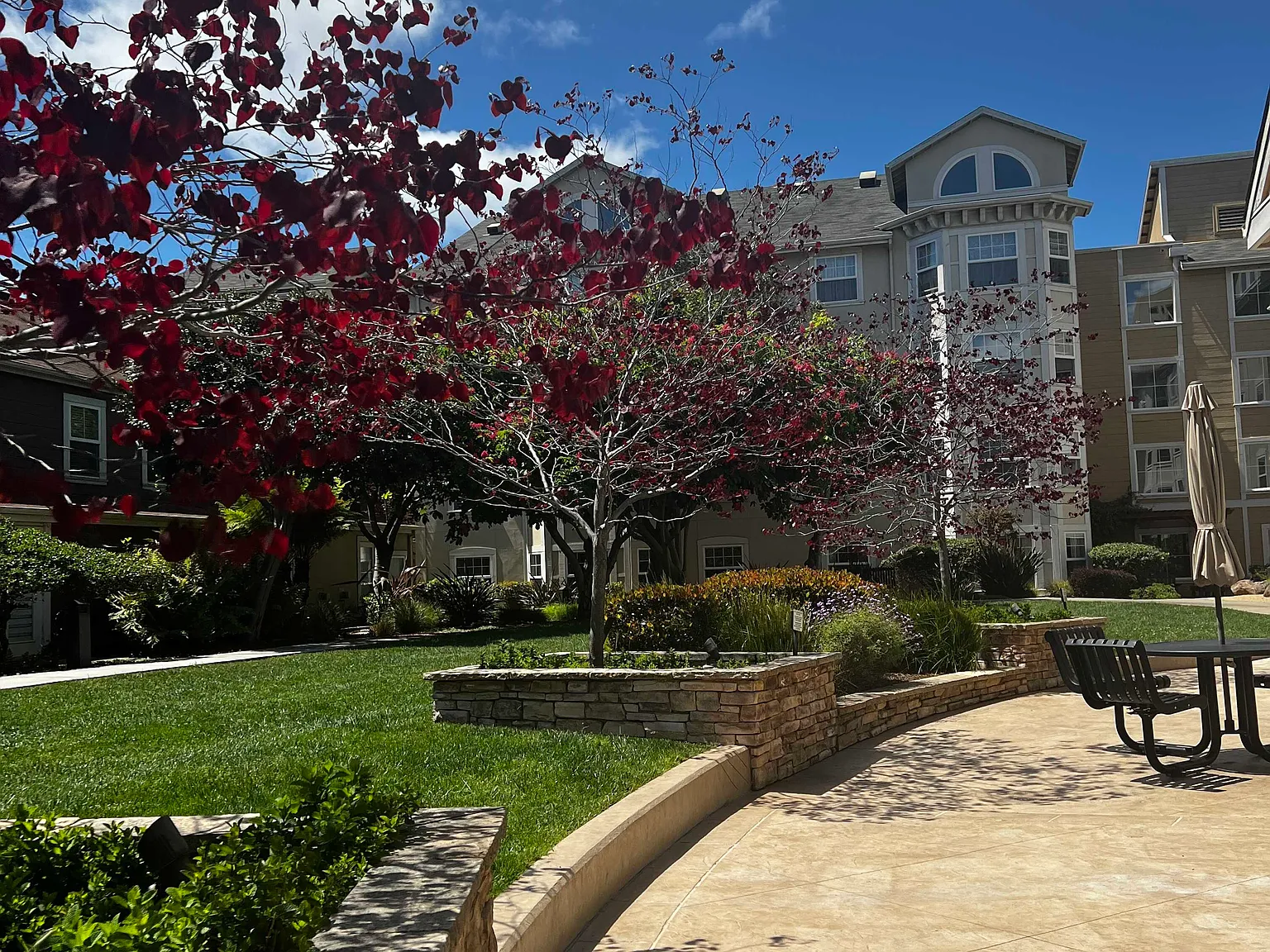 1 bed, 1.0 bath, 672 sqft, $2,250 — Photo 2
