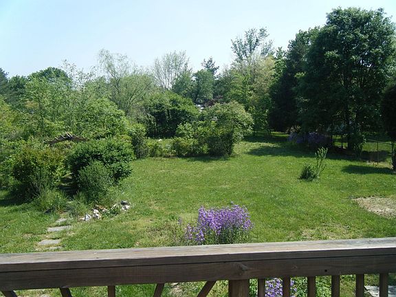 view of back yardalmost 3/4 acrein pinefield