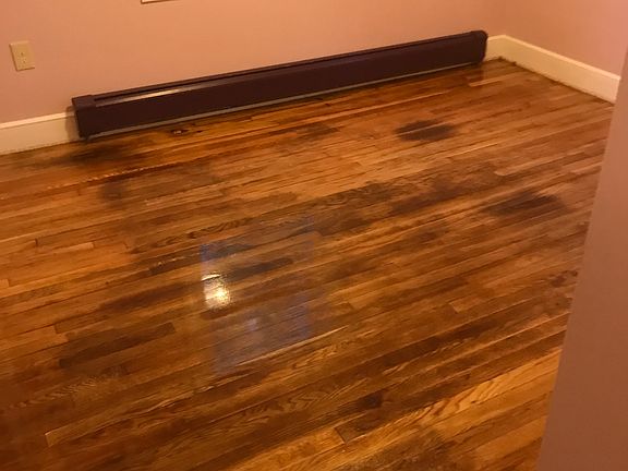 4th image of 33 Glenwood Ave