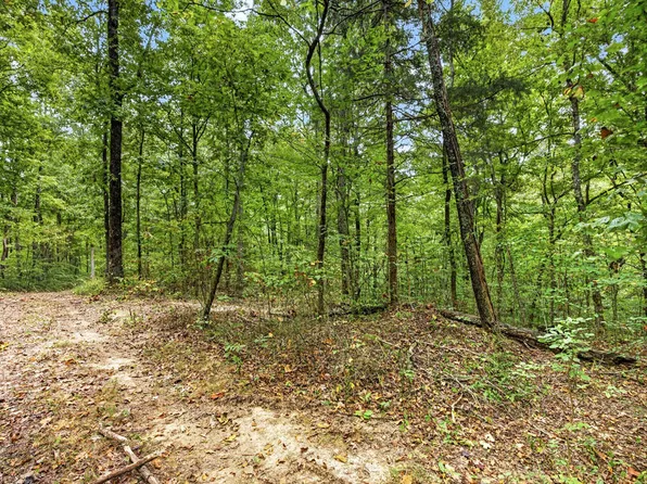 23 Timber Ridge Ln #Phase Ii, Celina, TN 38551