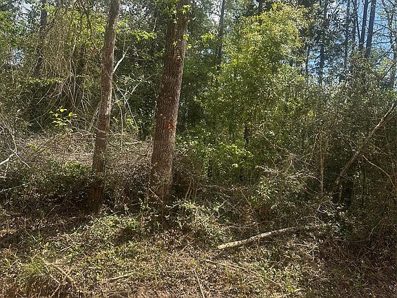 4th image of 0 Patricia Dr