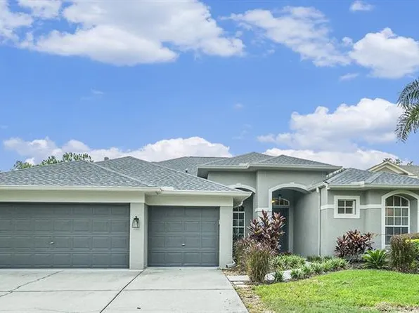 12914 Castlemaine Dr, Tampa, FL 33626