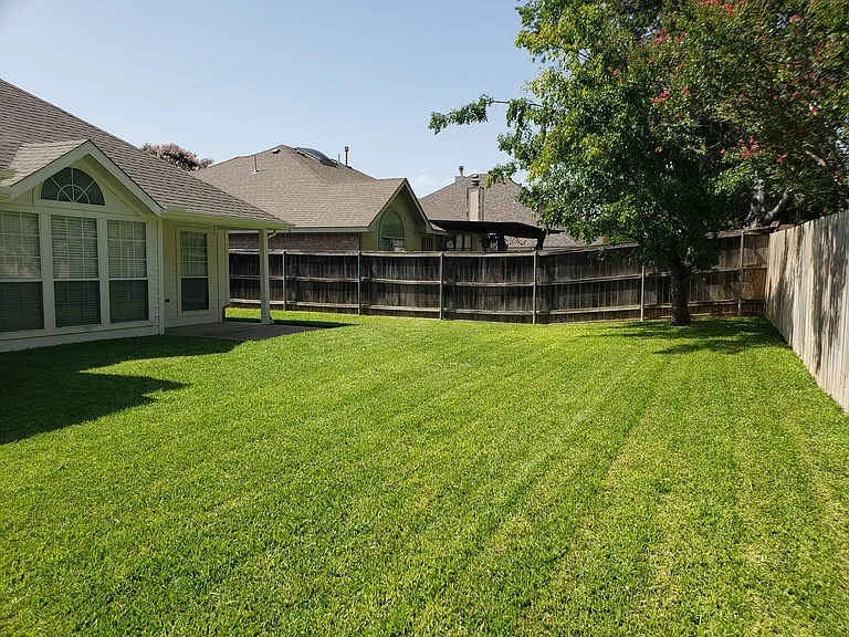 Back yard facing toward patio 7/20/2026