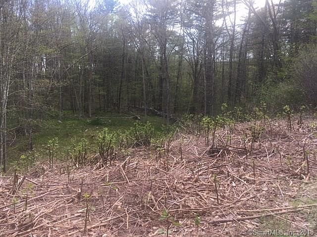 2nd image of 545 Hubbard Rd