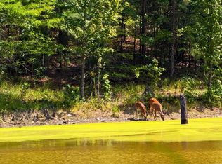 700 Speers Cir, Jessieville, AR 71949