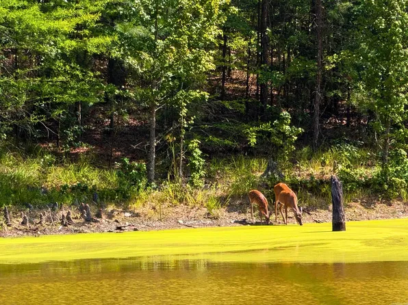 700 Speers Cir, Jessieville, AR 71949