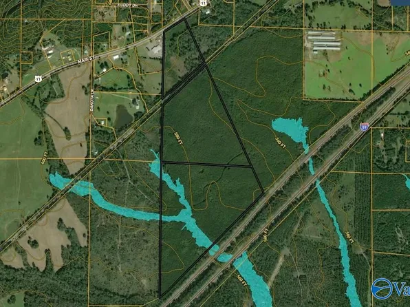 130 Acres Hwy #11, Steele, AL 35987