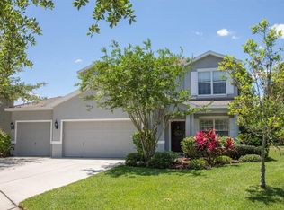 16227 Bridgepark Dr, Lithia, FL 33547