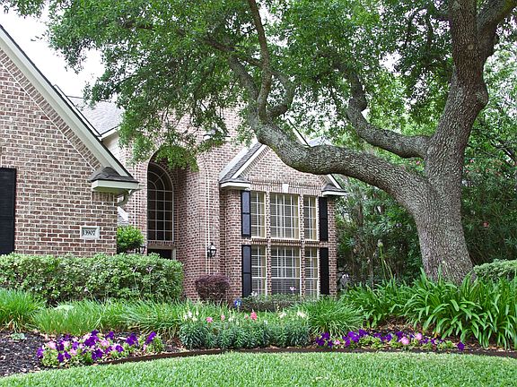 Large live oak in front bed