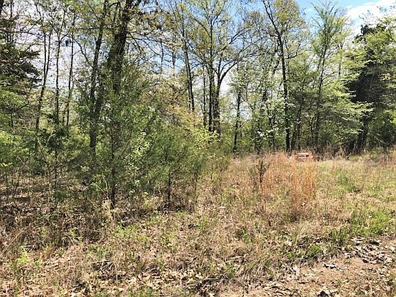 2nd image of Shelby Ln