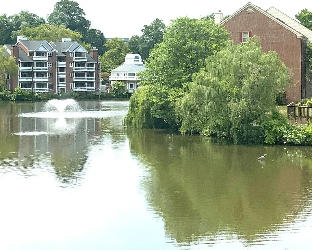 Lake View Condo - Move In Today — Photo 1