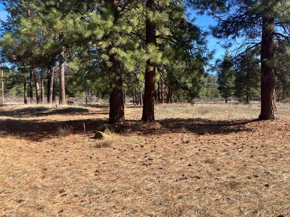 0 Winema Peninsula, Chiloquin, OR 97624