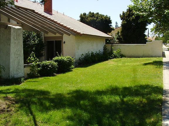 Front street side yard