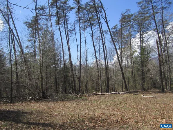 5 Logan Pl, Nellysford, VA 22958