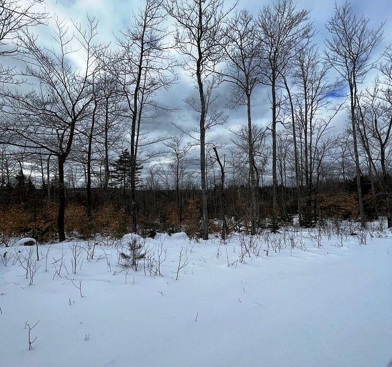 1st image of Lot 11 Black Bear Extension