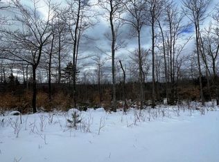 11 Black Bear Ln, Greenville, ME 04441