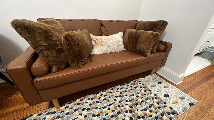 Rented by Manhattan Flats | media 7