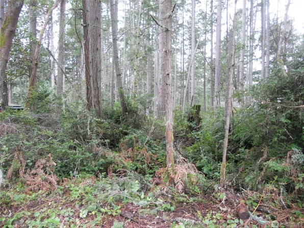 10424 107th Avenue Ct, Anderson Island, WA 98303