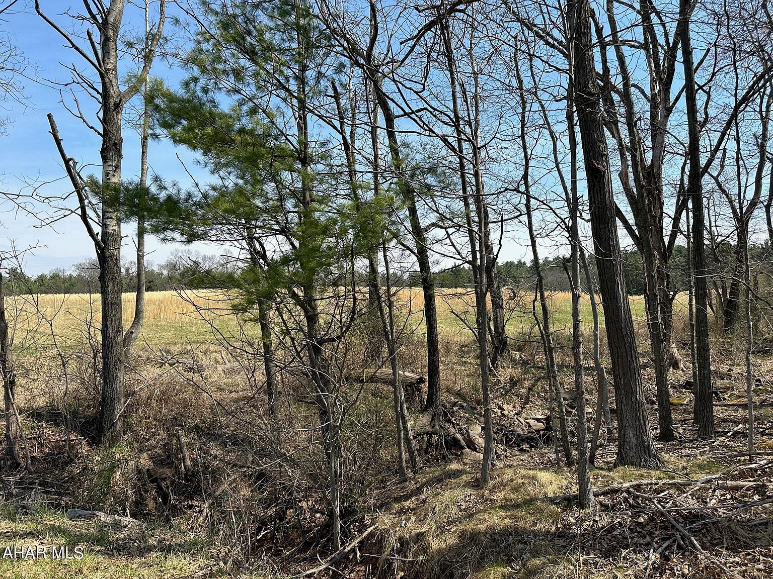 Barton Rd, Crystal Spring, PA 15536 MLS 72092 Zillow