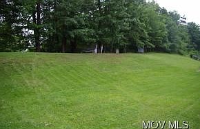 back yard to trees