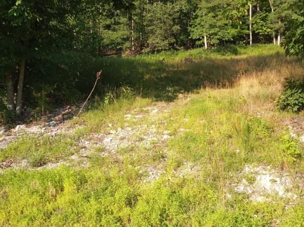 1024 Mount Lebanon Rd, Buckhannon, WV 26201