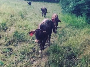 392 Vienna Woods, Beaufort, MO 63013