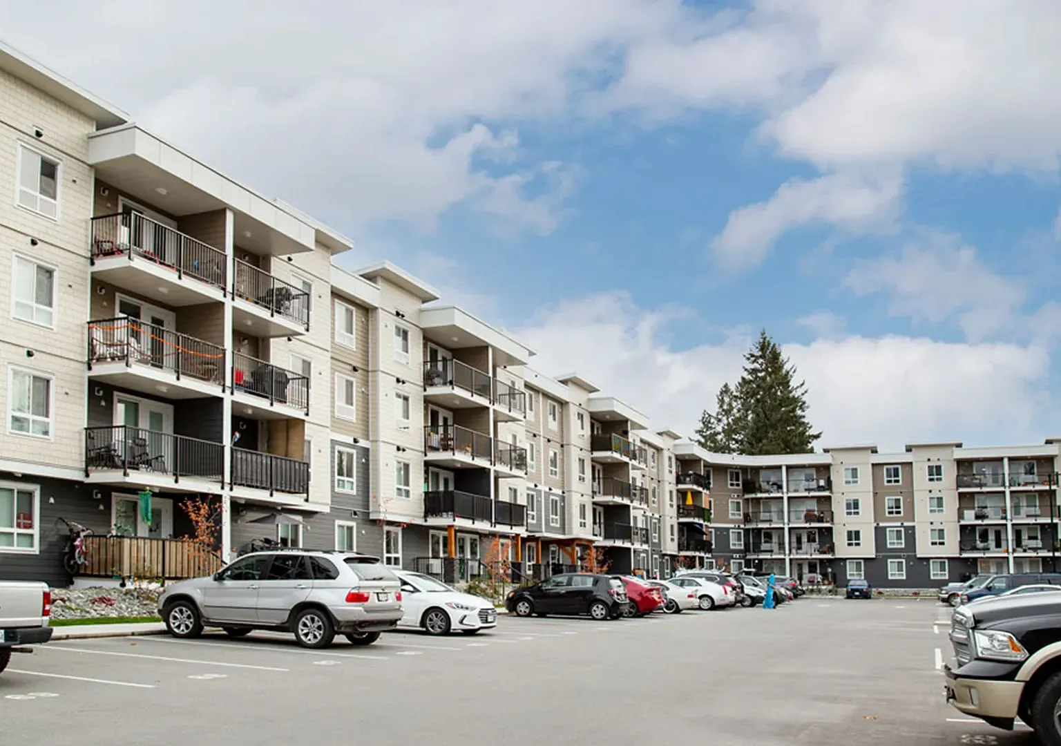 Timber Terrace — Photo 3