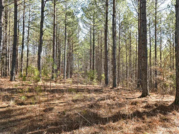 0 Low Gap Rd, Sugar Tree, TN 38380
