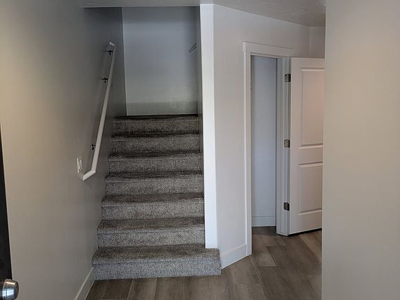 Hallway into home, closet on the left