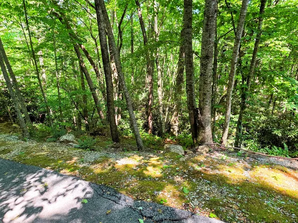 Lot 55 Toxaway Lane, Sapphire, NC 28774